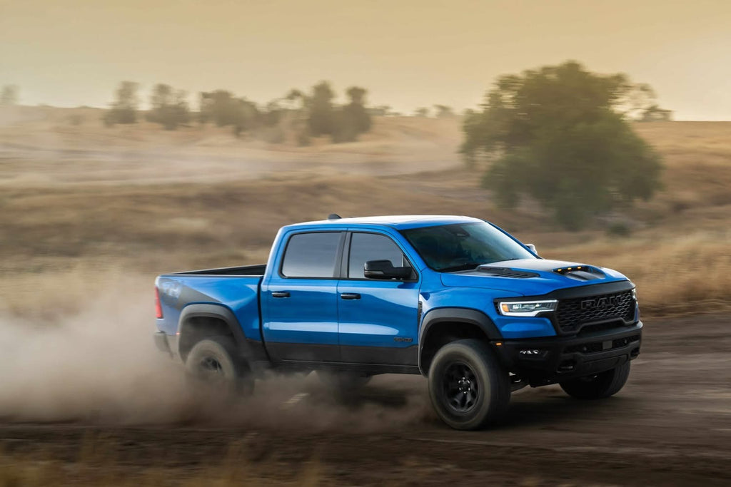 RAM RHO Ignition Style Bedside Decals - Rhino Head Cutout Logo